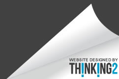 Custom CMS Web Developement and Professional Hosting
